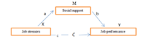 Conceptual Framework