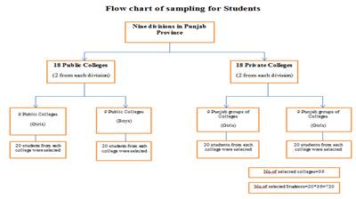   The scale of the Study