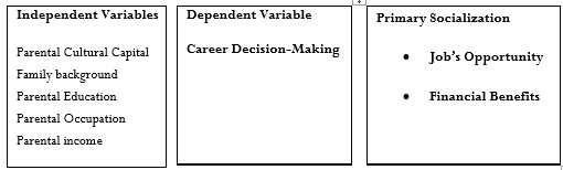 Conceptual Framework